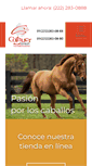 Mobile Screenshot of colhuer.com